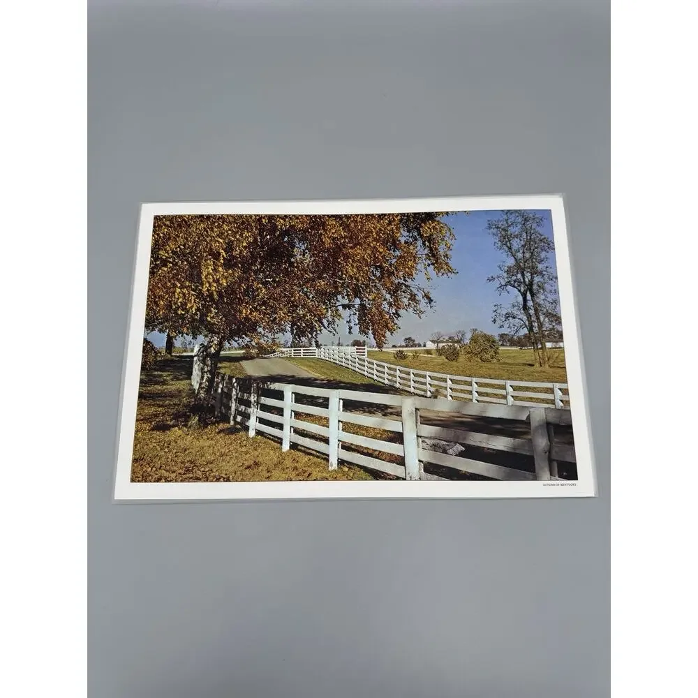 Vintage Scenic Kentucky‎ Vinyl Placemats Set Of 6 READ DETAILS